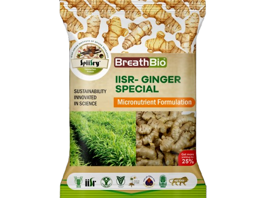 GINGER SPECIAL- MICRONUTRIENT