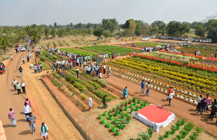 Spiisry participated in National Horticulture Fair 2023