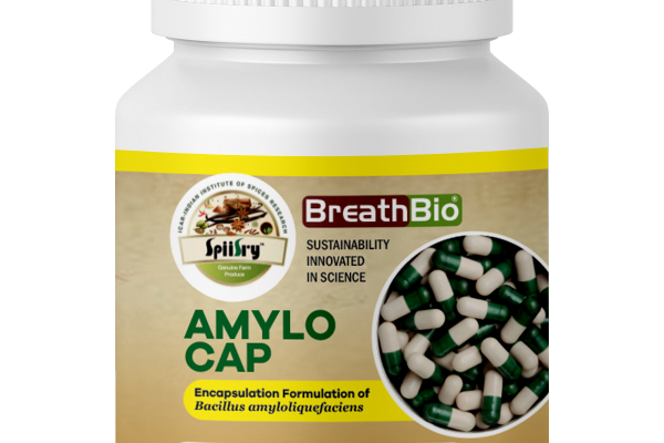 AMYLO CAP- BIO CAPSULE