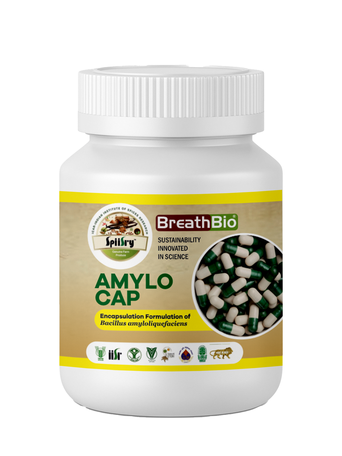 AMYLO CAP- BIO CAPSULE