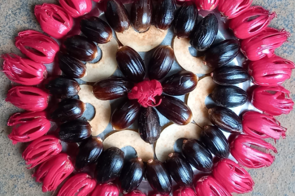 NUTMEG SPECIAL- MICRONUTRIENT